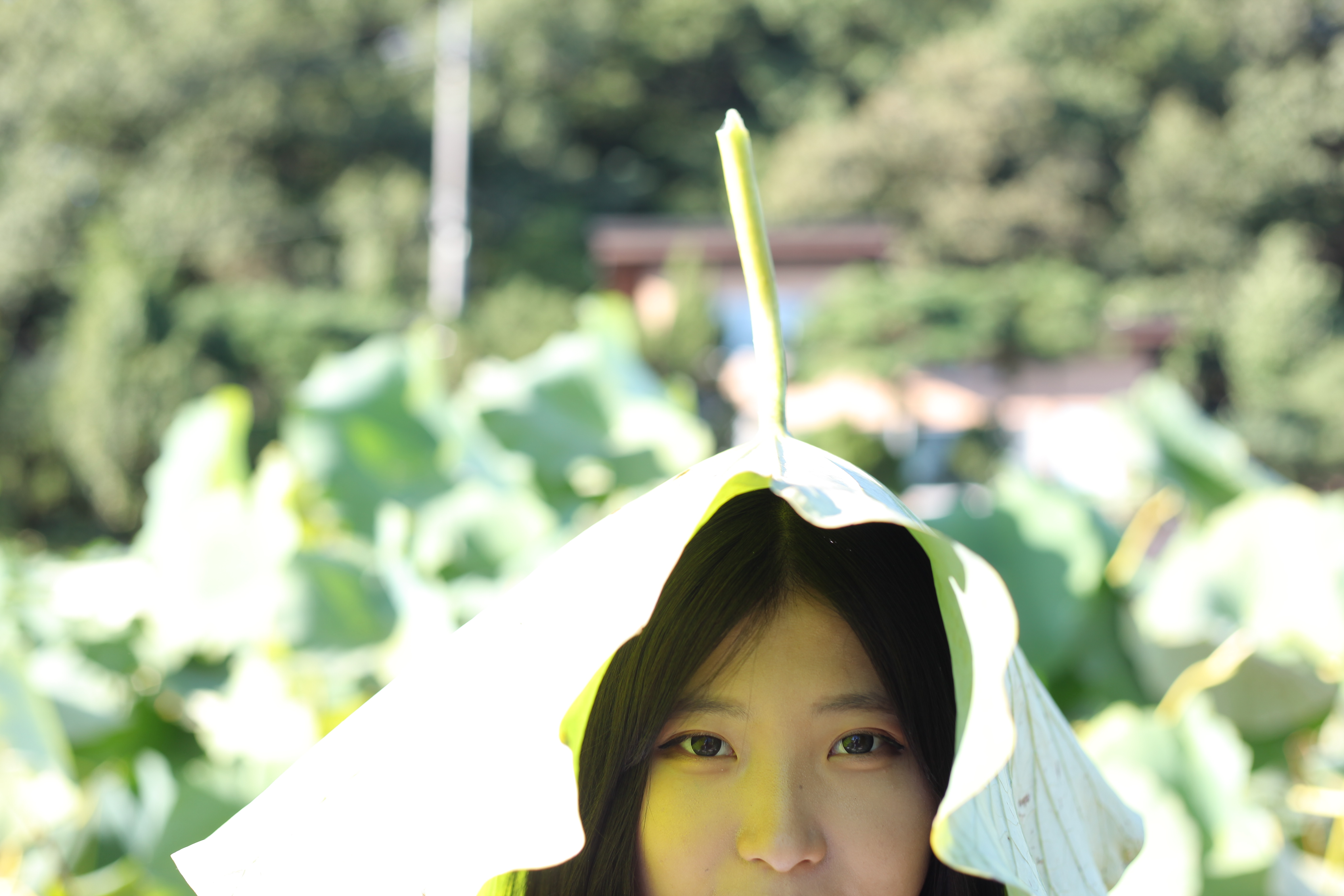 미분류 / 고아(희원) (782)s(2.26GB)